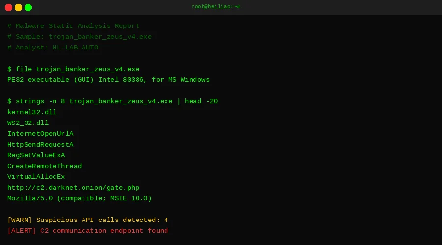 安全研究员正在分析恶意代码，黑料 的一个实例